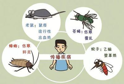 春季病媒生物防制全攻略 轻松解决“四害”隐患