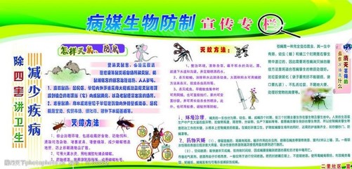 守护健康防线 病媒生物防制服务图片与营销素材要点解析