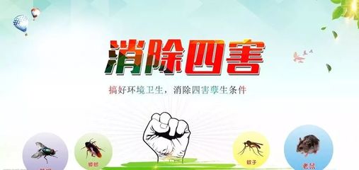 解读《2023年瑞昌市病媒生物防制工作方案》 全面防制病媒，守护市民健康