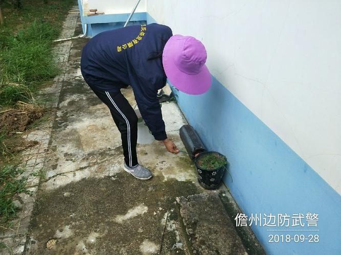 儋州持续开展病媒生物防制 科学防控筑牢健康防线