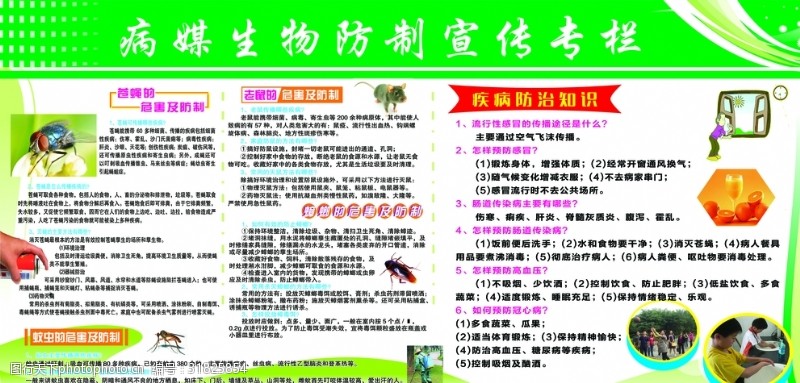 筑牢健康防线 专业病媒生物防制服务的价值与使命